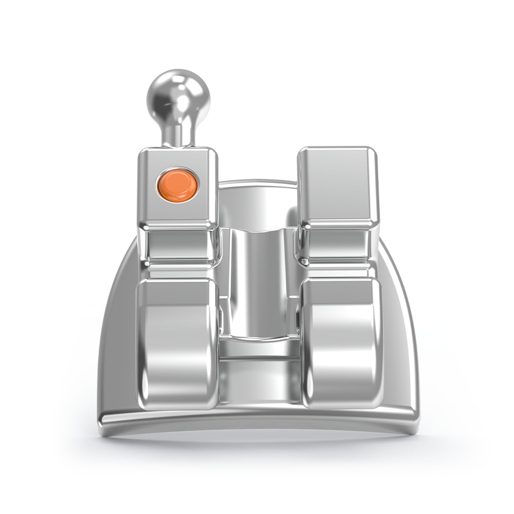 Set Brackets Scape 3G Roth Stylus